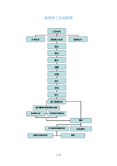 病理科工作流程图(DOC 37页)