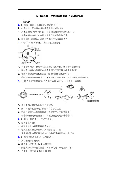 沧州市必修一生物期末多选题 不定项选择题