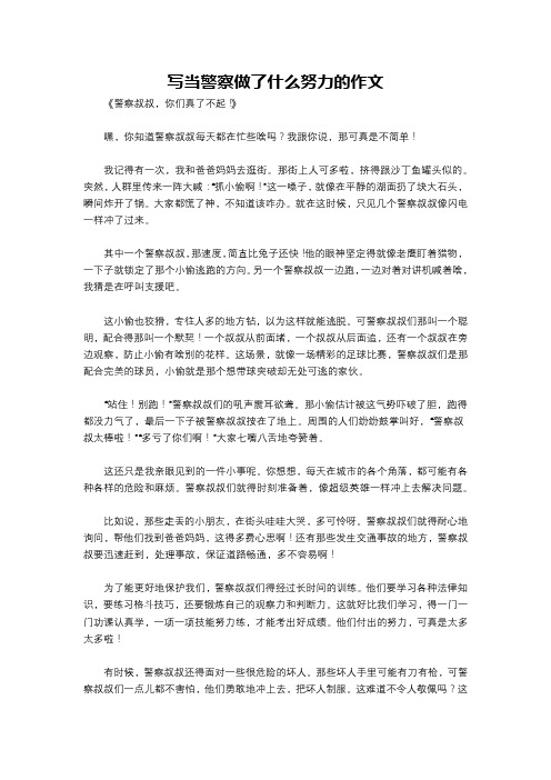 写当警察做了什么努力的作文