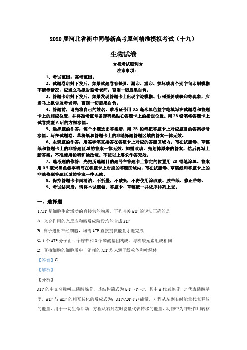 2020届河北省衡中同卷新高考原创精准模拟考试(十九)生物试卷