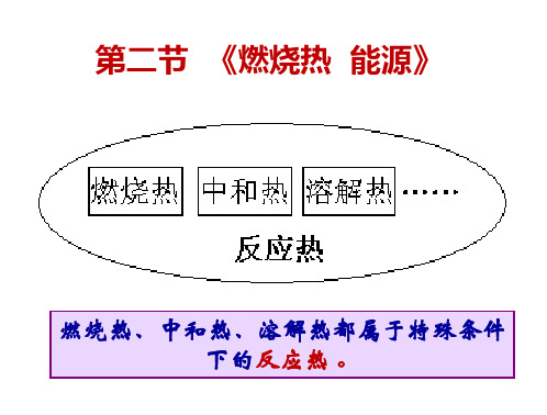 第二节  燃烧热 能源