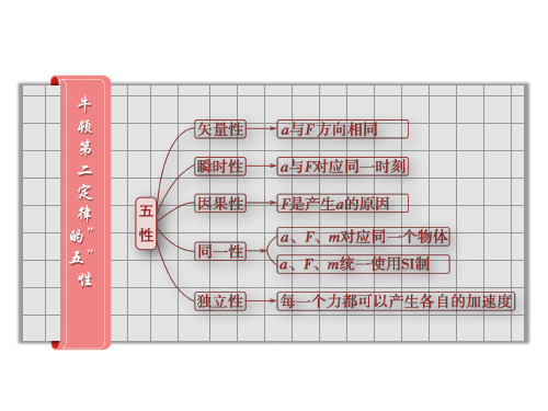 牛二的瞬时性和基本模型