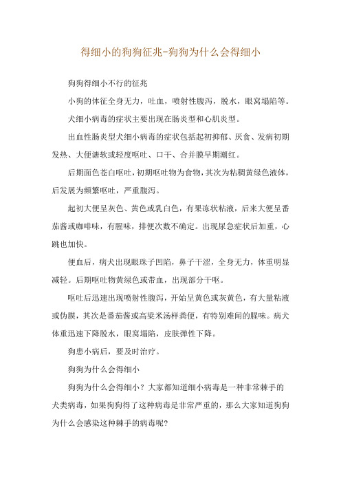 得细小的狗狗征兆-狗狗为什么会得细小