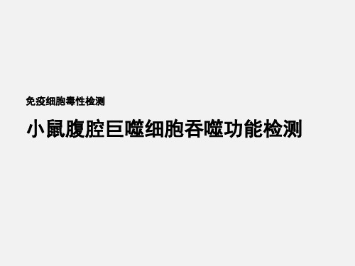 细胞毒理学实验免疫细胞毒性检测