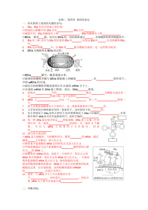 高三生物一轮复习导学案基因的表达