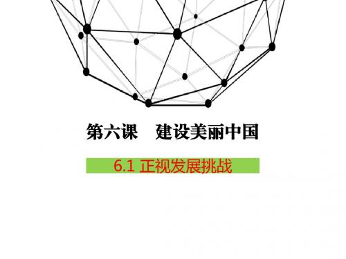 部编人教版九年级道德与法治上册6.1正视发展挑战(共40张PPT)