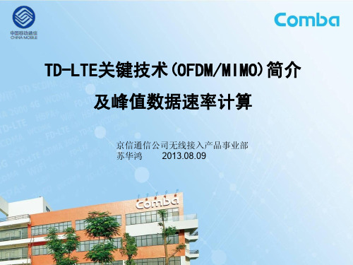 TD-LTE关键技术(OFDMMIMO)简介(苏华鸿2013.08.09)