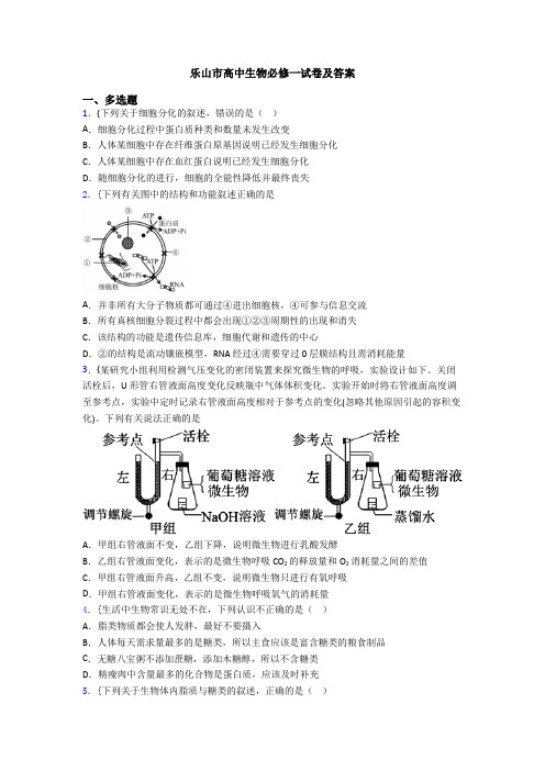 乐山市高中生物必修一试卷及答案