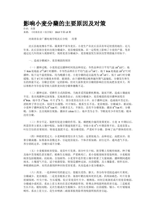 影响小麦分蘖的主要原因及对策 