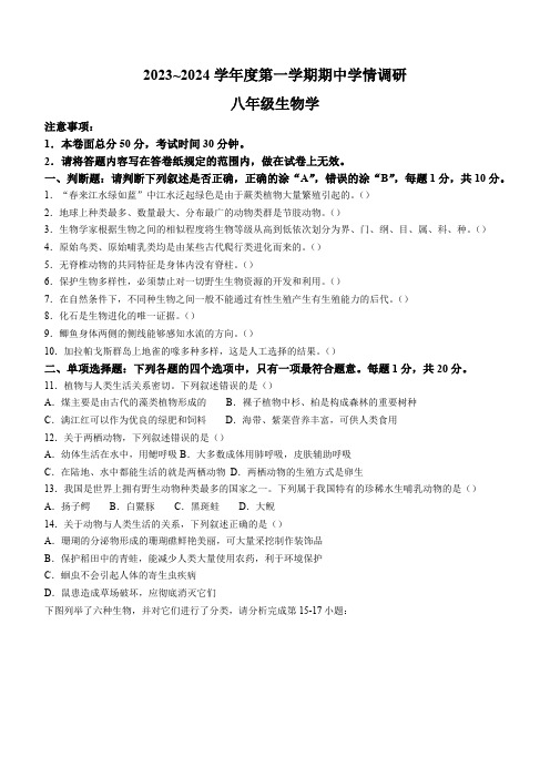 江苏省南京市联合体2023-2024学年八年级上学期期中生物试题(含答案)