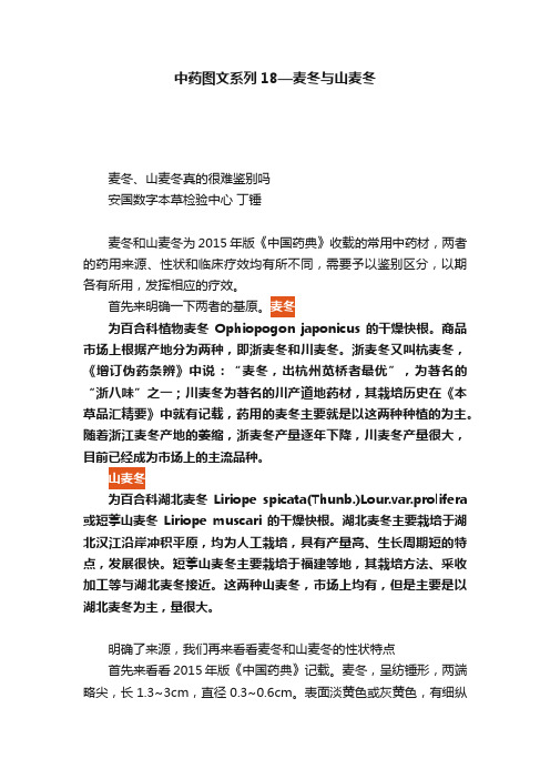 中药图文系列18—麦冬与山麦冬