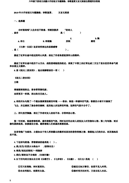 六年级下册语文试题小升初语文专题演练：诗歌鉴赏文言文阅读全国通用含答案