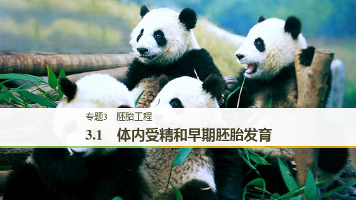 高中人教版生物选修三课件：专题3+3.1 体内受精和早期胚胎发育