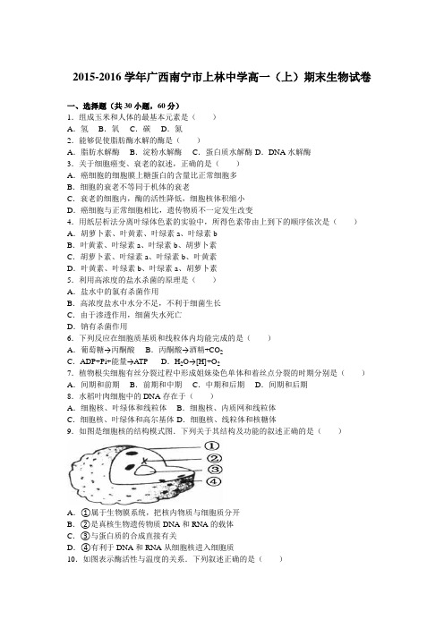 广西南宁市上林中学2015-2016学年高一(上)期末生物试卷(解析版)