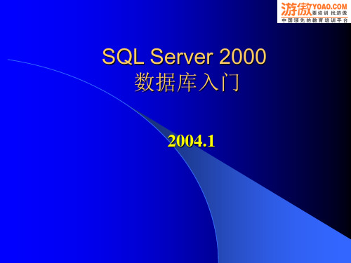 SQL SERVER数据库入门(PPT 33页)