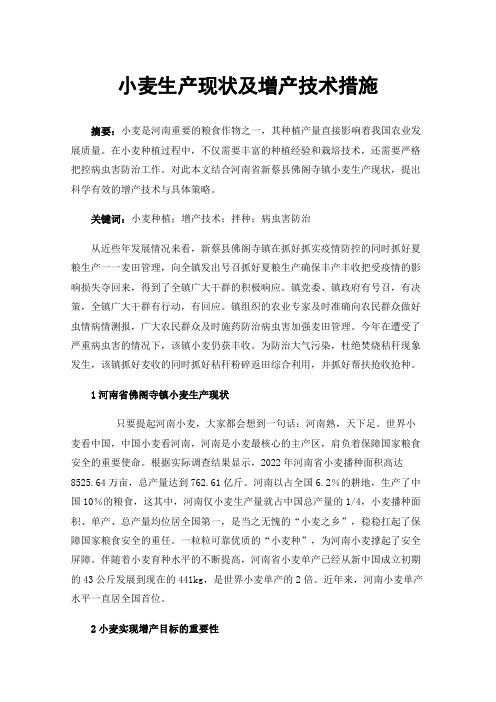 小麦生产现状及增产技术措施