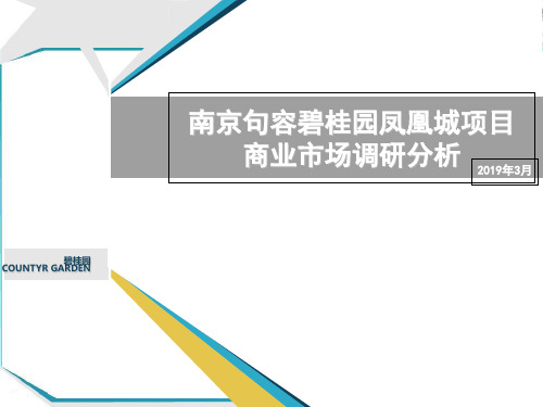 2019南京南京句容碧桂园凤凰城项目商业市场调研分析43p