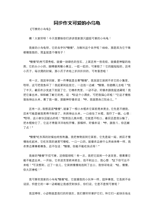 同步作文可爱的小乌龟