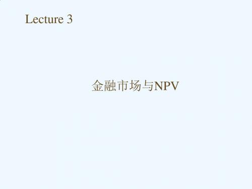 金融市场与NPV概述PPT(28张)