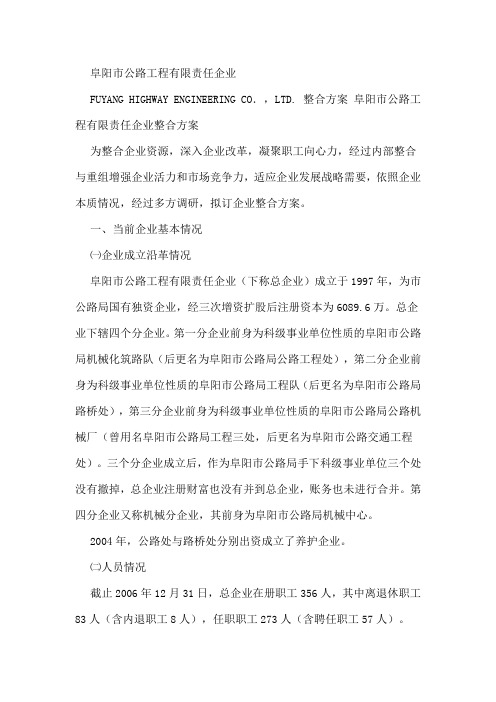 公司的整合总结方案