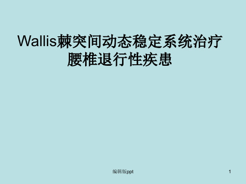 Wallis棘突间动态稳定ppt课件