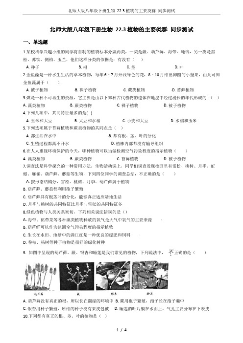 北师大版八年级下册生物 22.3植物的主要类群 同步测试