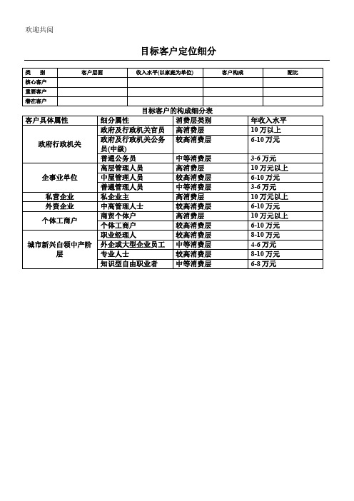 目标客户定位细分表格模板