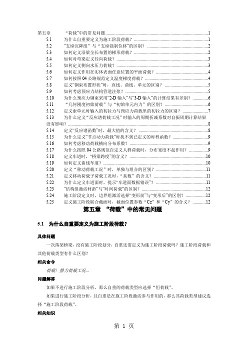 桥梁工程MidasCivil常见问题解答第05章荷载14页word文档