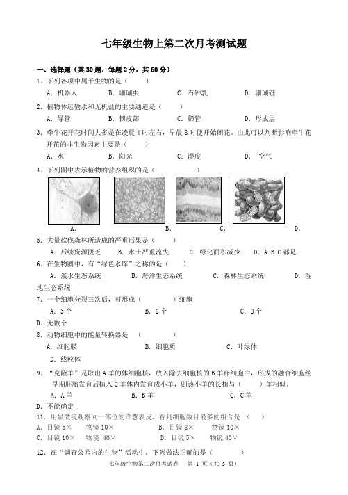 新人教版七年级生物上第二次月考考试卷及答案