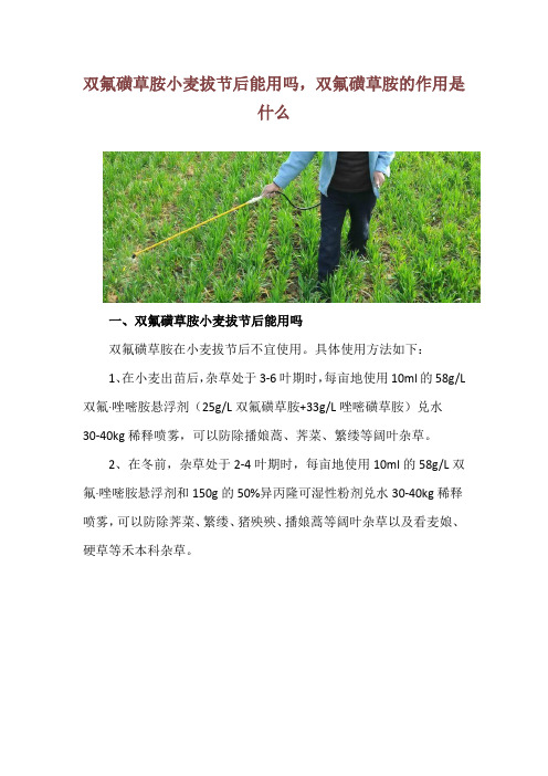 双氟磺草胺小麦拔节后能用吗,双氟磺草胺的作用是什么