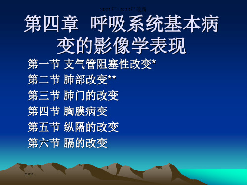 呼吸系统基本病变的影像学表现ppt课件【完整版】