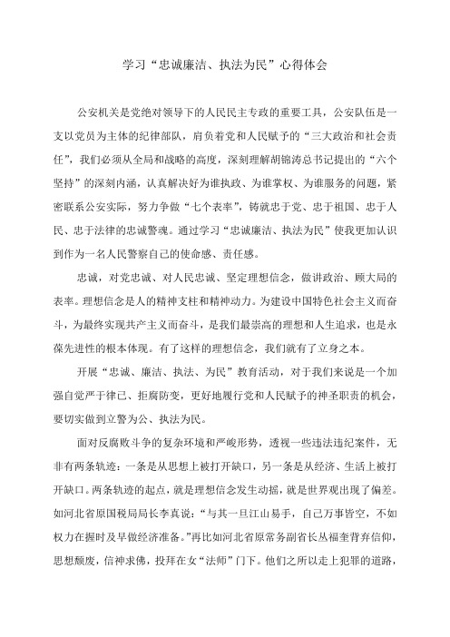 学习“忠诚廉洁、执法为民”心得体会2