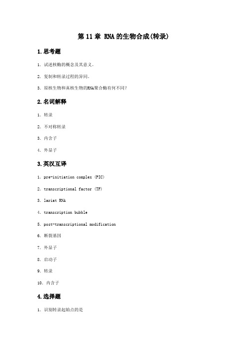 中国医科大学-生物化学试题-11章 RNA的生物合成