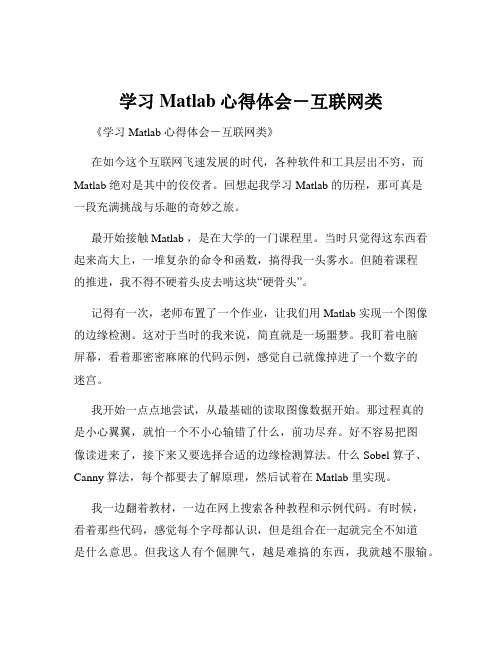 学习Matlab心得体会-互联网类