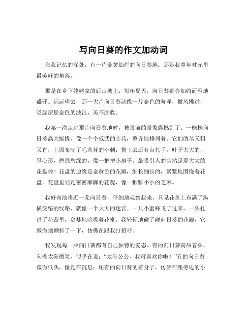 写向日葵的作文加动词