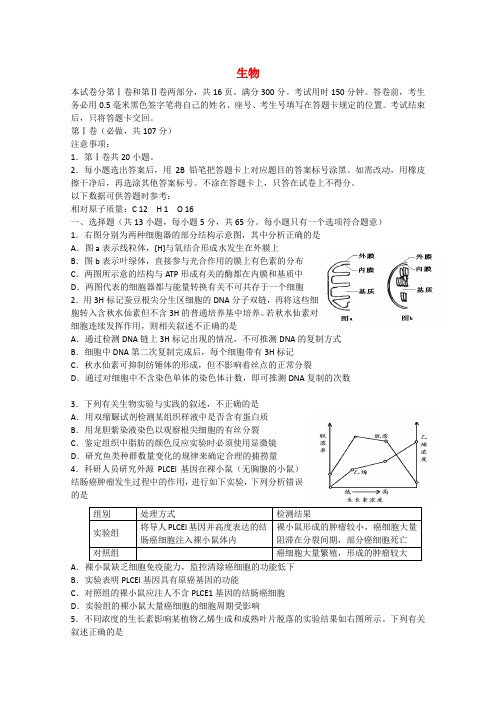 文登市高三生物第二次统考试题