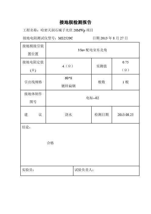 接地极检测报告