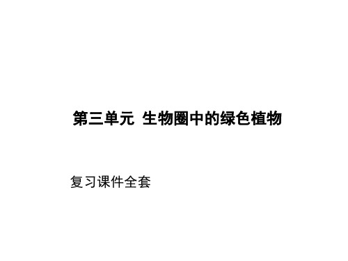 人教版七年级生物上册第三单元复习课件全套