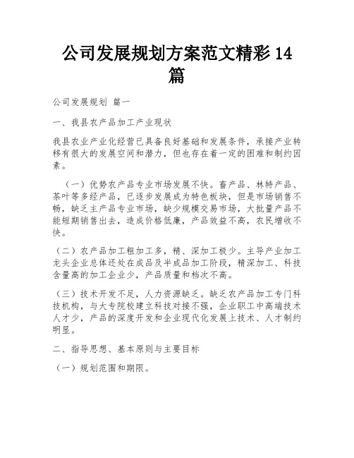 公司发展规划方案范文精彩14篇