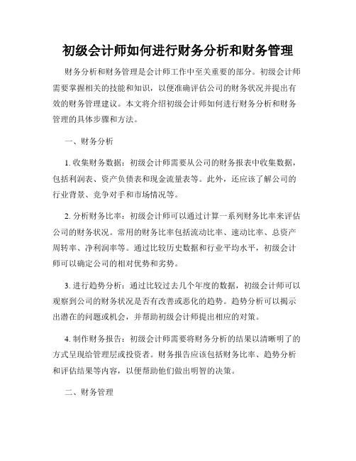 初级会计师如何进行财务分析和财务管理