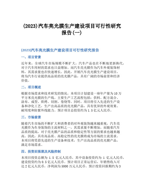 (2023)汽车亮光膜生产建设项目可行性研究报告(一)