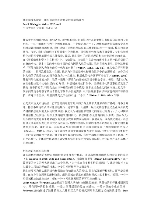 铁的牢笼——关于组织制度新探讨