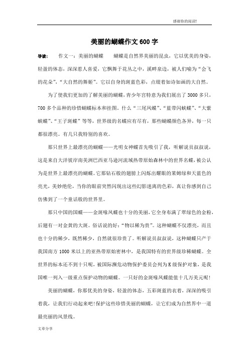 美丽的蝴蝶作文600字