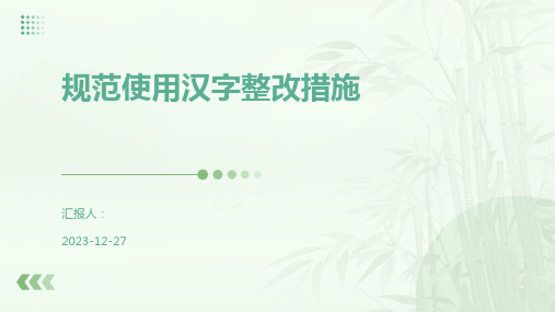 规范使用汉字整改措施