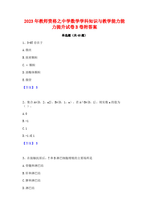 2023年教师资格之中学数学学科知识与教学能力能力提升试卷B卷附答案