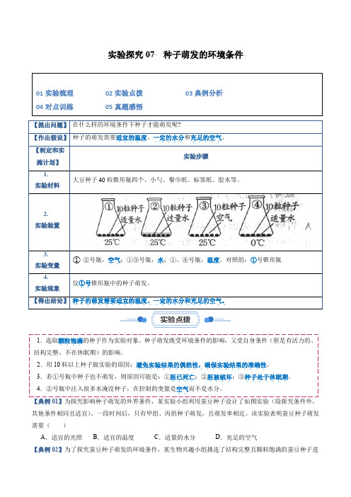 实验探究07种子萌发的环境条件(原卷版)