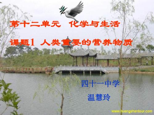 第十二单元化学与生活课题1人类重要的营养物质