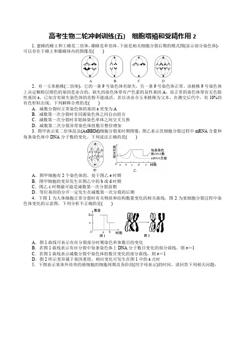 高考生物二轮冲刺训练(五) 细胞增殖和受精作用2