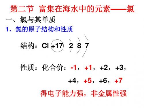 高一化学富集在海水中的元素-氯2