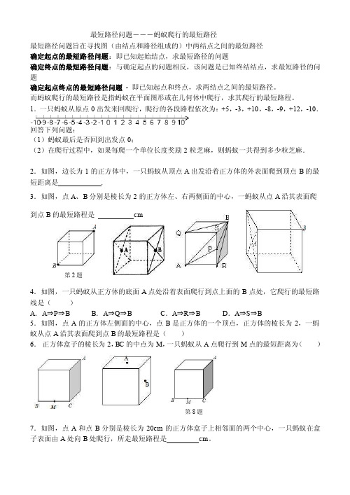 【最新精选】最短路径问题―――蚂蚁爬行的最短路径